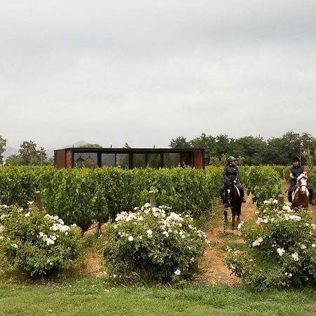 Vibo Wine Lodge At Viu Manent Santa Cruz Exteriér fotografie