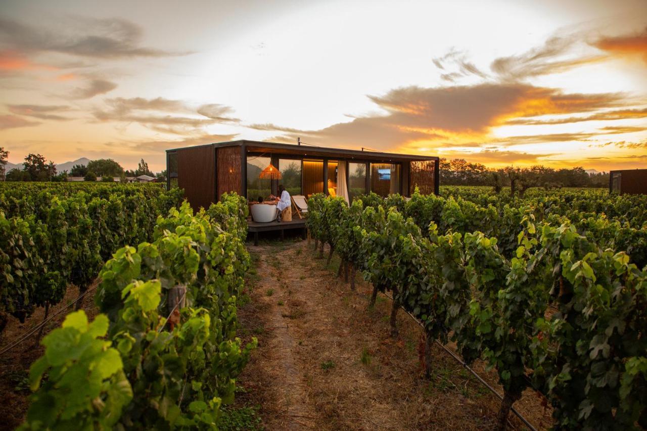 Vibo Wine Lodge At Viu Manent Santa Cruz Exteriér fotografie