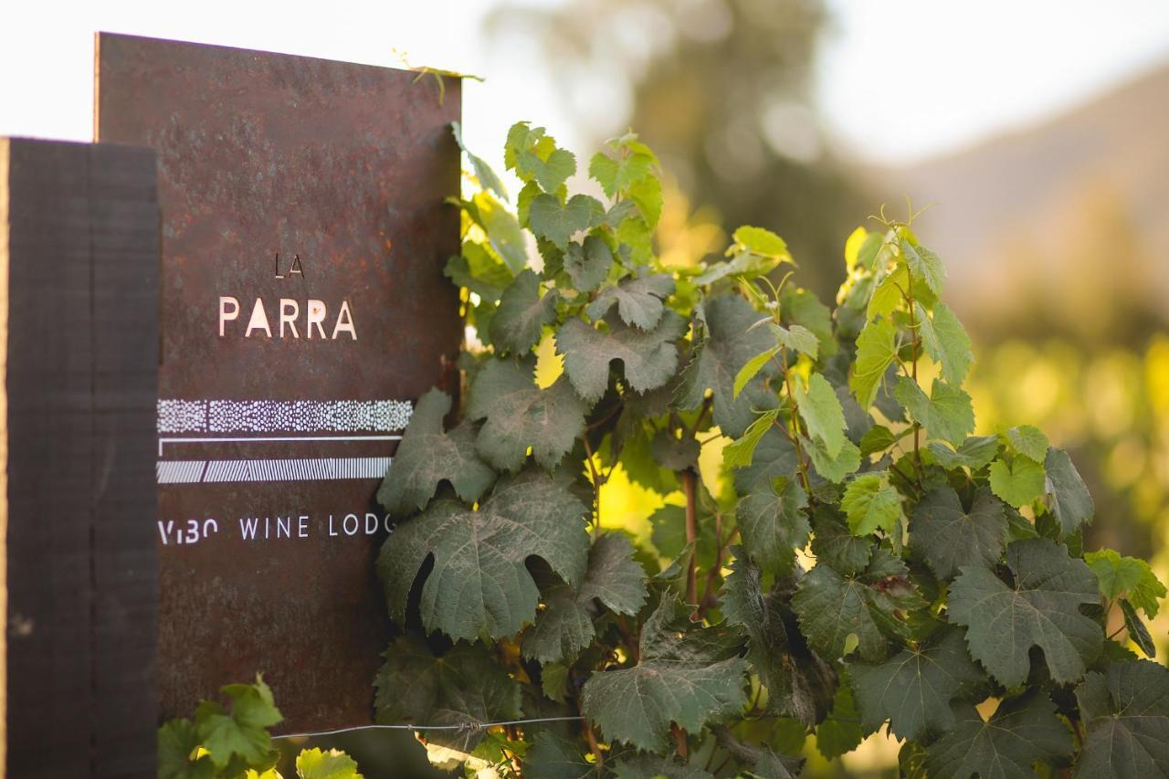 Vibo Wine Lodge At Viu Manent Santa Cruz Exteriér fotografie