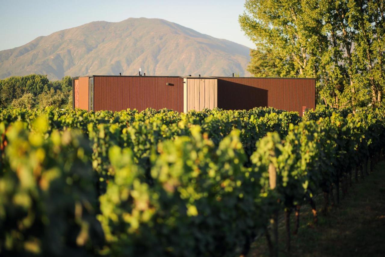 Vibo Wine Lodge At Viu Manent Santa Cruz Exteriér fotografie